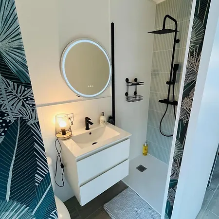 Apartment Du Port Avec Jardin Prive Saint-Andre-de-Cubzac